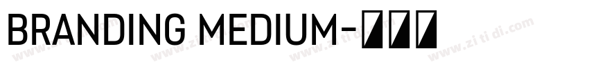 Branding Medium字体转换 Branding Medium字体转换